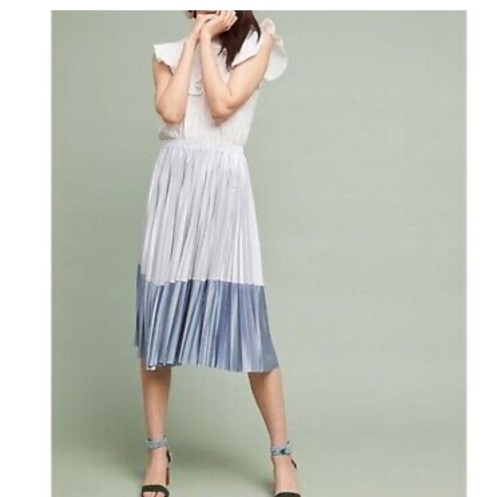 Anthropologie Cheri Pleated Skirt